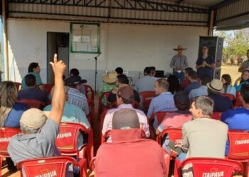 Encontro no Alecrim discute reserva alimentar para a pecuária leiteira nos assentamentos