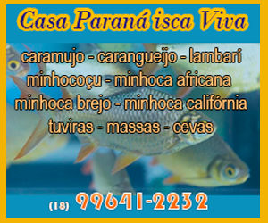 casa-parana-isca-viva