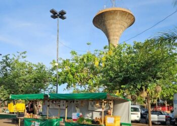 Feira do Produtor Rural terá gastronomia