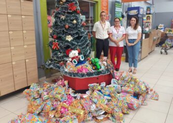 Fundo Social de Solidariedade de Ilha Solteira recebe brinquedos