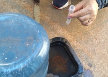 Ilha Solteira entra em alerta para dengue e reforça importância da vacinação