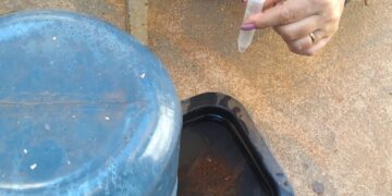 Ilha Solteira entra em alerta para dengue e reforça importância da vacinação