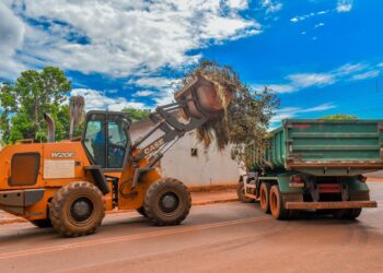 Prefeitura reforça mutirão de limpeza em Selvíria