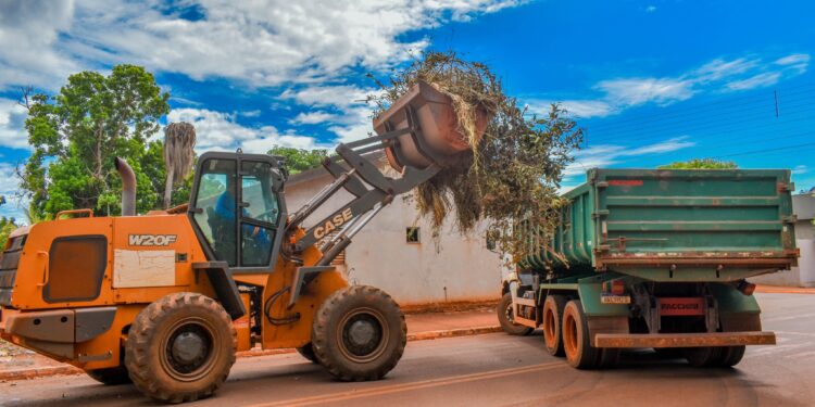 Prefeitura reforça mutirão de limpeza em Selvíria