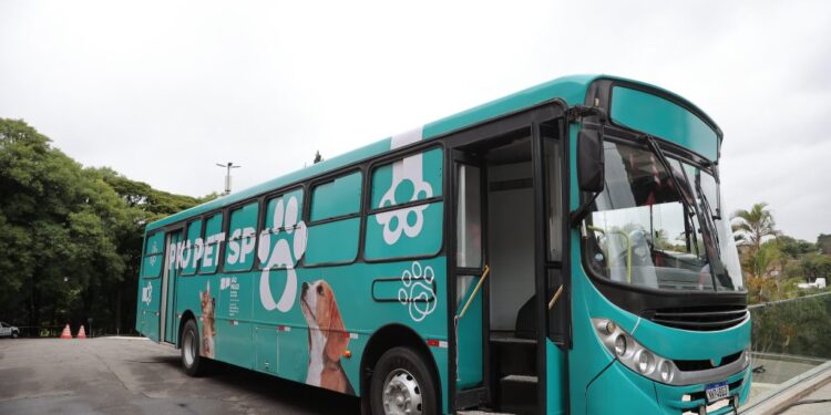 Ilha Solteira recebe ação gratuita 