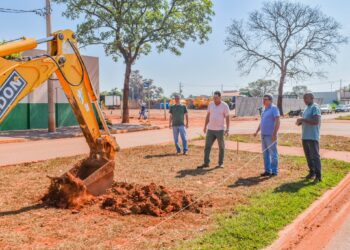 Prefeitura prepara plantio de espécies ornamentais