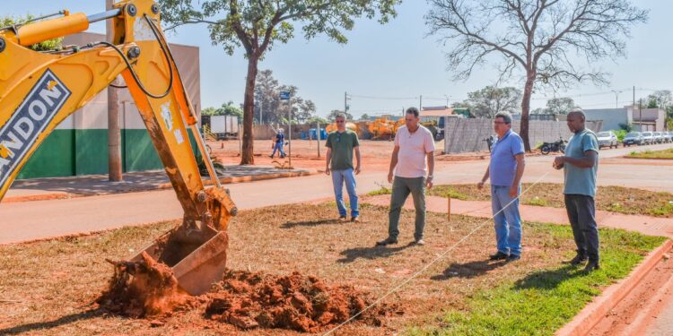 Prefeitura prepara plantio de espécies ornamentais